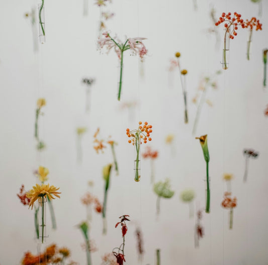 How to Choose the Perfect Scent for Your Space